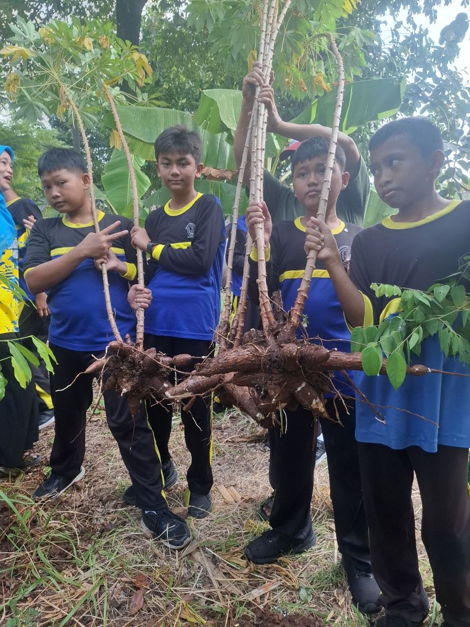 Semangat Belajar dari Alam: Siswa SDN Cengkareng Timur 15 Panen Singkong dan Sukun